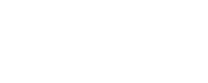 Lung foundation